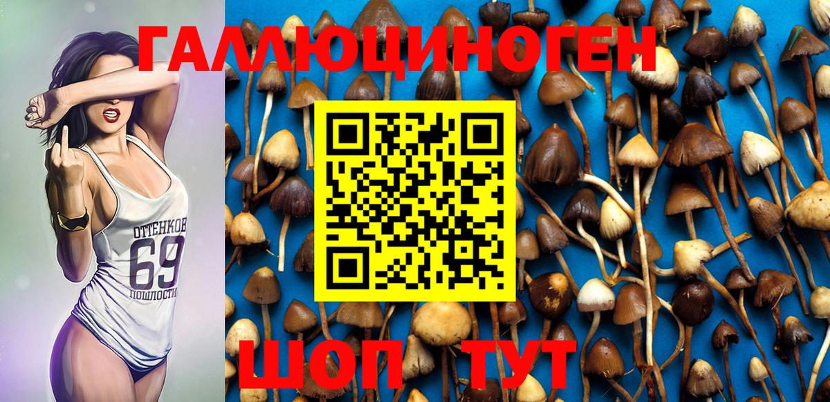 Псилоцибиновые грибы мицелий Касимов
