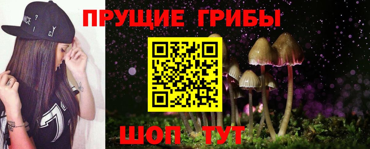 Галлюциногенные грибы Psilocybine cubensis  Вход с VPN  Касимов  где купить наркоту  Псилоцибиновые грибы мицелий 